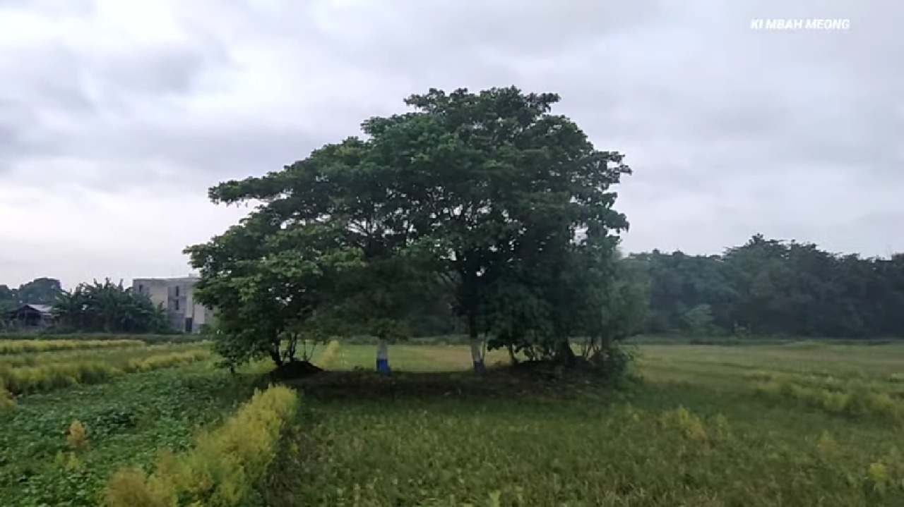 Makam Punden Mak Lampir ternyata peninggalan Majapahit